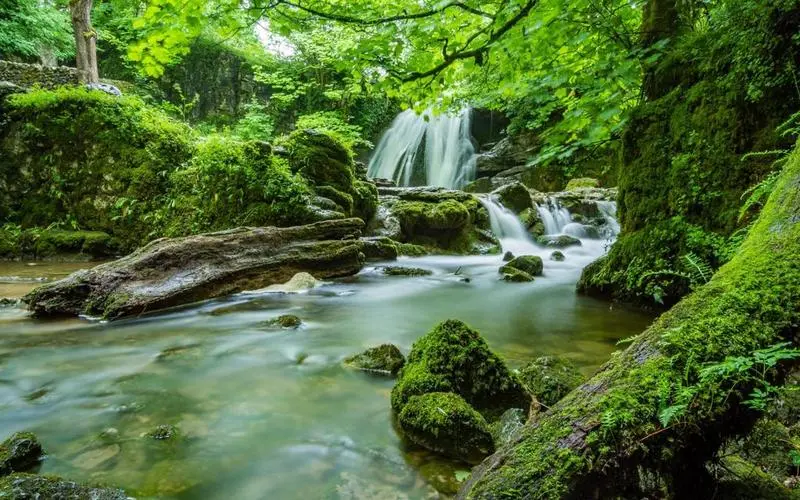 绿色电子环保